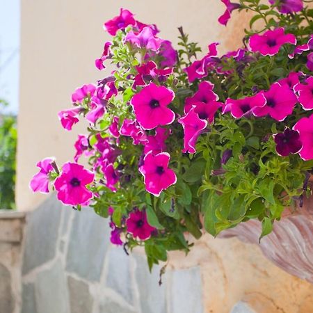 Thymis Home Skiathos Exterior photo